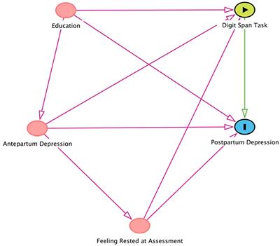 Working Memory During Late Pregnancy: Associations With Antepartum and Postpartum Depression Symptoms